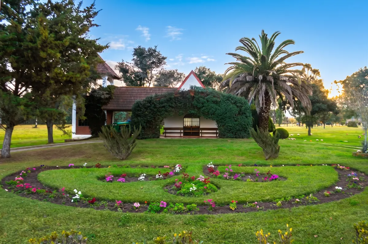 Jardín del parque con glorieta cubierta de enredadera y palmera.